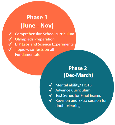 Euphoric Science Program Program Phases