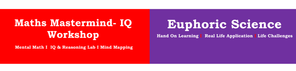 Maths Mastermind IQ workshop banner img